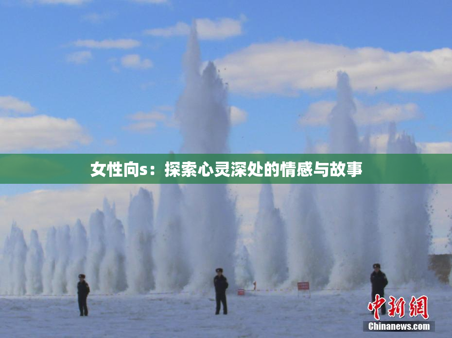 女性向s：探索心灵深处的情感与故事