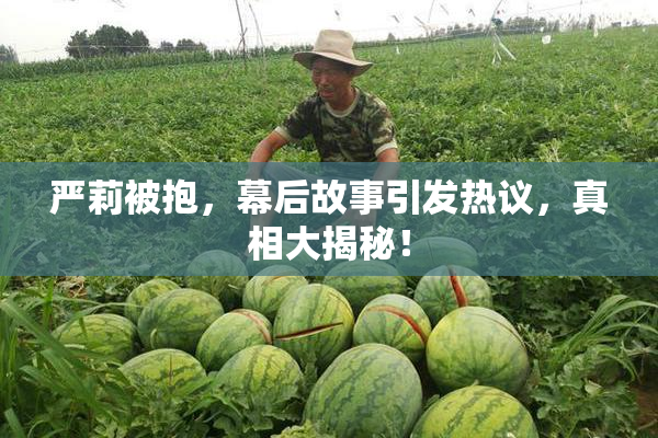 严莉被抱，幕后故事引发热议，真相大揭秘！