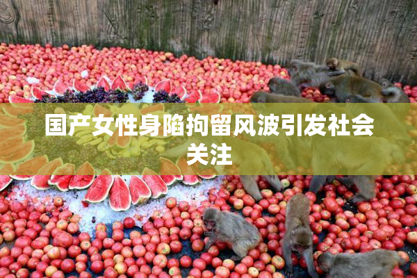 国产女性身陷拘留风波引发社会关注