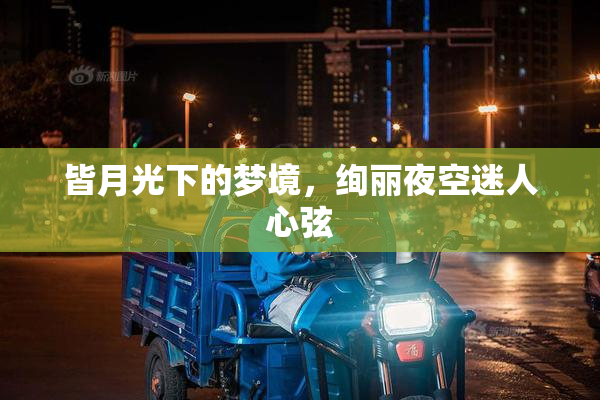 皆月光下的梦境，绚丽夜空迷人心弦