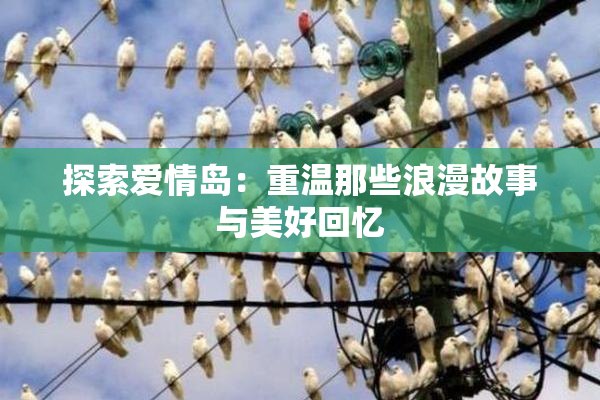 探索爱情岛：重温那些浪漫故事与美好回忆