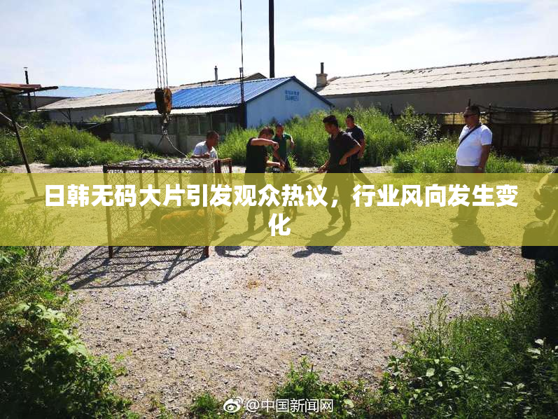 日韩无码大片引发观众热议，行业风向发生变化