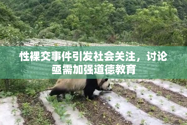 性裸交事件引发社会关注，讨论亟需加强道德教育