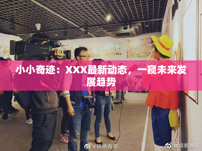 小小奇迹：XXX最新动态，一窥未来发展趋势