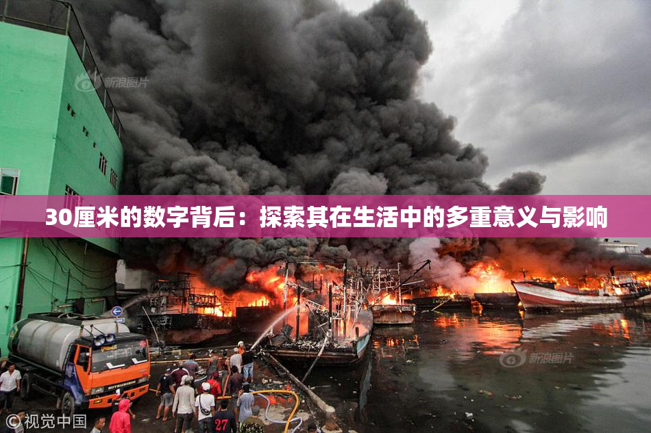 30厘米的数字背后：探索其在生活中的多重意义与影响