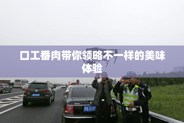 口工番肉带你领略不一样的美味体验