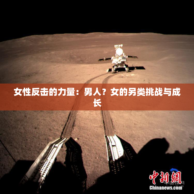 女性反击的力量：男人？女的另类挑战与成长