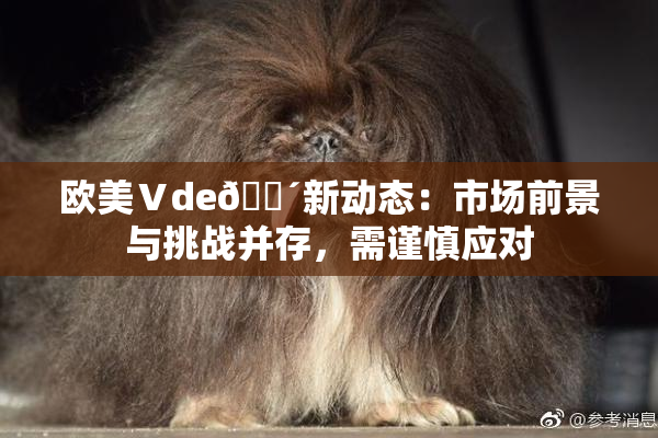 欧美Ⅴde🔴新动态：市场前景与挑战并存，需谨慎应对