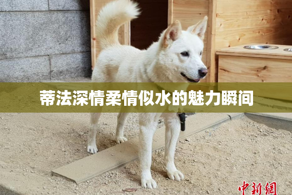 蒂法深情柔情似水的魅力瞬间