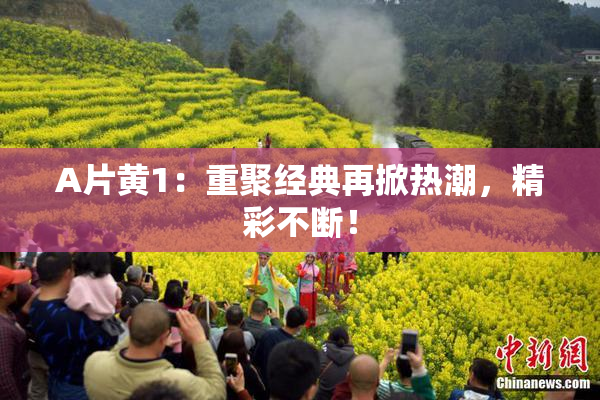 A片黄1：重聚经典再掀热潮，精彩不断！