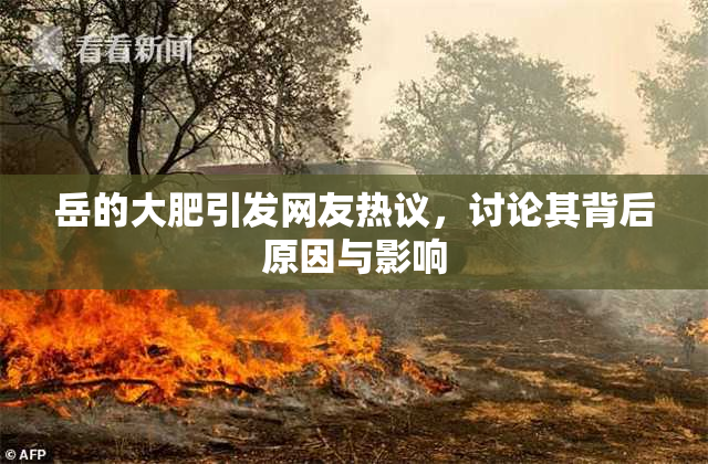岳的大肥引发网友热议，讨论其背后原因与影响