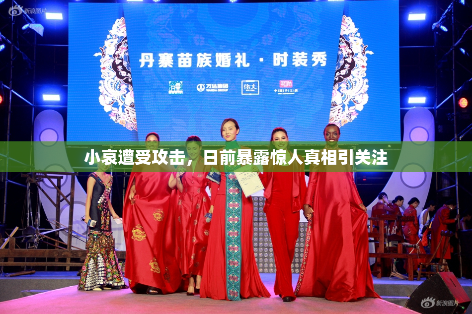 小哀遭受攻击，日前暴露惊人真相引关注