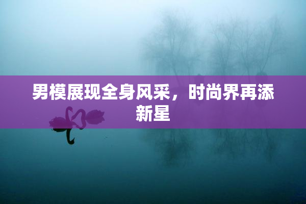 男模展现全身风采，时尚界再添新星