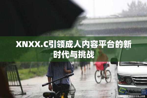 XNXX.C引领成人内容平台的新时代与挑战