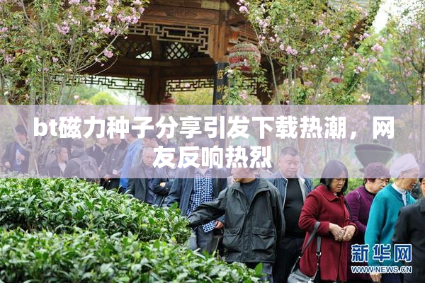 bt磁力种子分享引发下载热潮，网友反响热烈