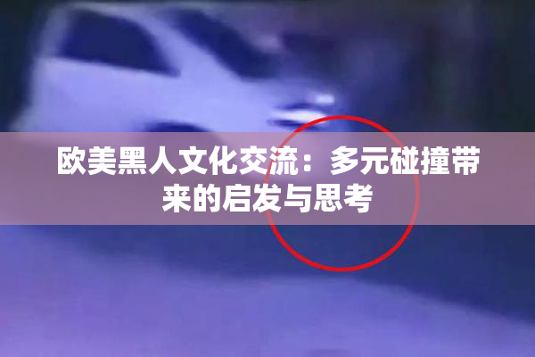 欧美黑人文化交流：多元碰撞带来的启发与思考