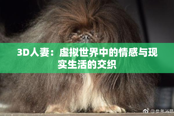 3D人妻：虚拟世界中的情感与现实生活的交织