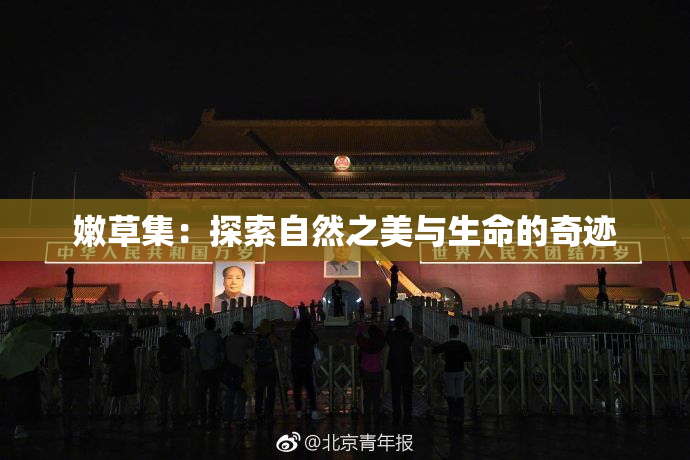 嫩草集：探索自然之美与生命的奇迹