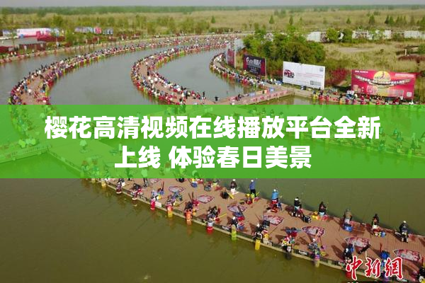 樱花高清视频在线播放平台全新上线 体验春日美景