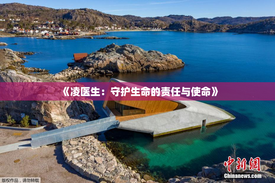 《凌医生：守护生命的责任与使命》