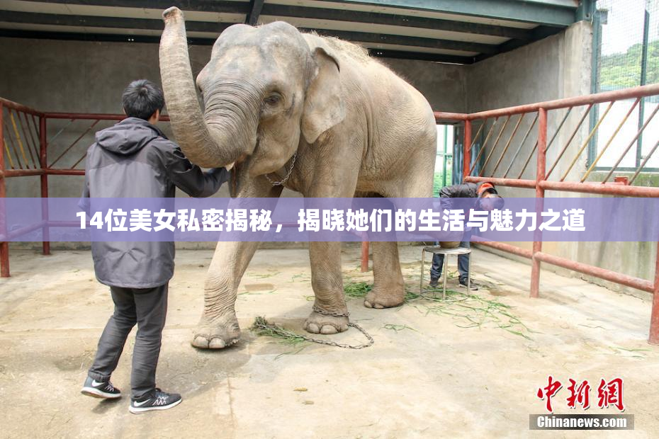 14位美女私密揭秘，揭晓她们的生活与魅力之道