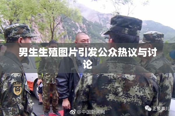 男生生殖图片引发公众热议与讨论