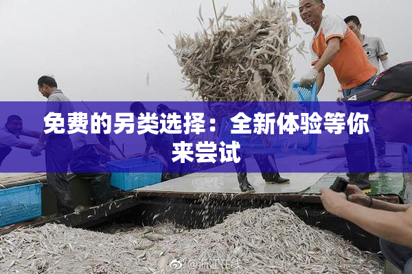 免费的另类选择：全新体验等你来尝试
