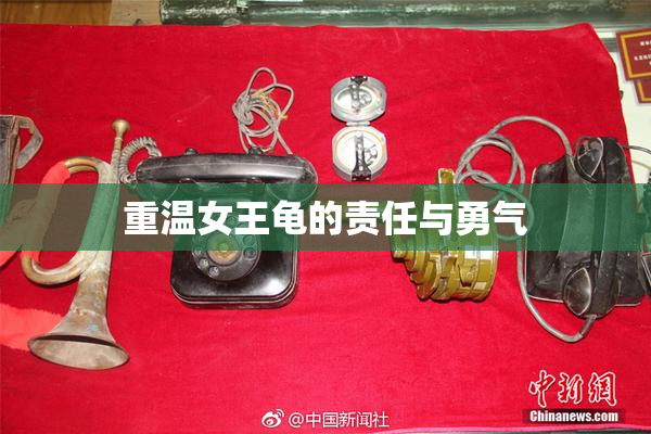 重温女王龟的责任与勇气
