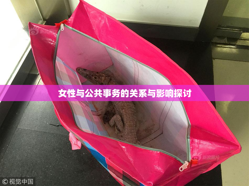 女性与公共事务的关系与影响探讨