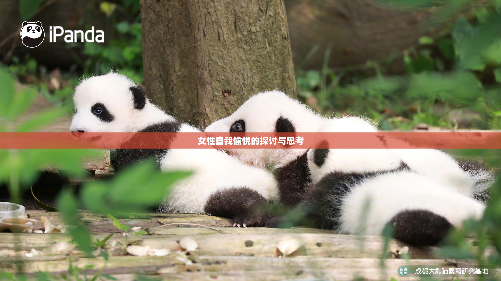女性自我愉悦的探讨与思考