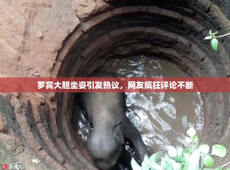 罗宾大胆坐姿引发热议，网友疯狂评论不断