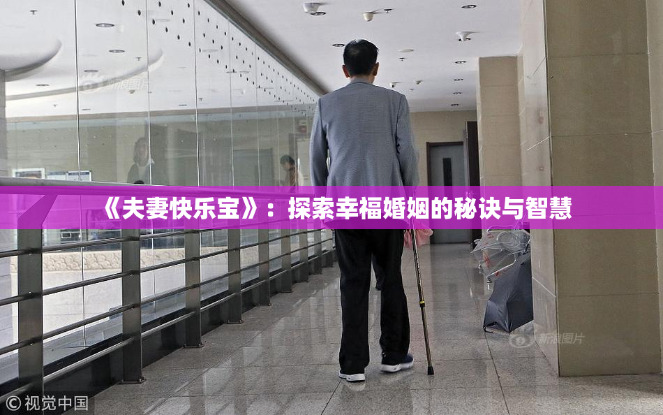 《夫妻快乐宝》：探索幸福婚姻的秘诀与智慧
