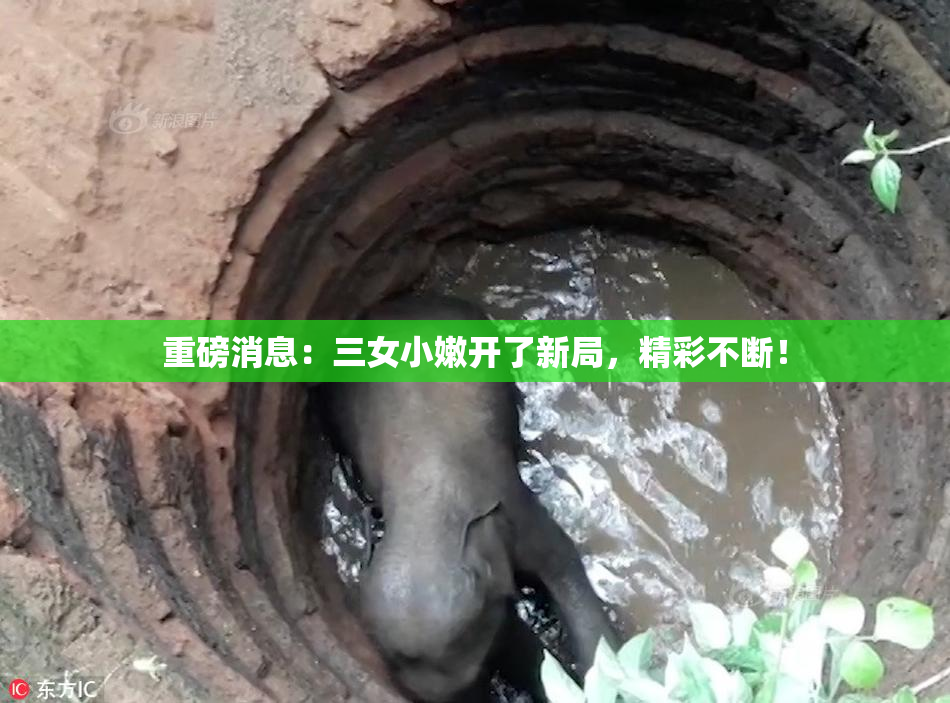 重磅消息：三女小嫩开了新局，精彩不断！