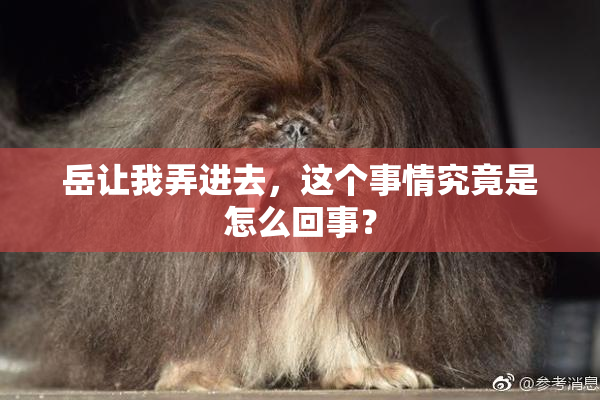 岳让我弄进去，这个事情究竟是怎么回事？