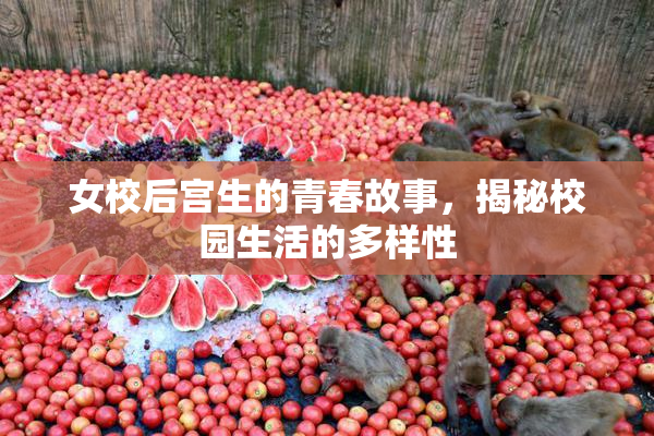 女校后宫生的青春故事，揭秘校园生活的多样性