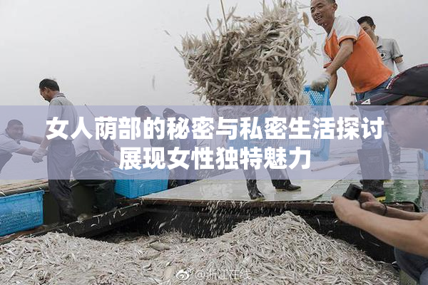 女人荫部的秘密与私密生活探讨展现女性独特魅力