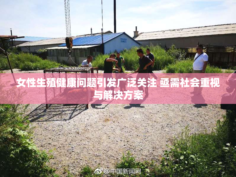 女性生殖健康问题引发广泛关注 亟需社会重视与解决方案