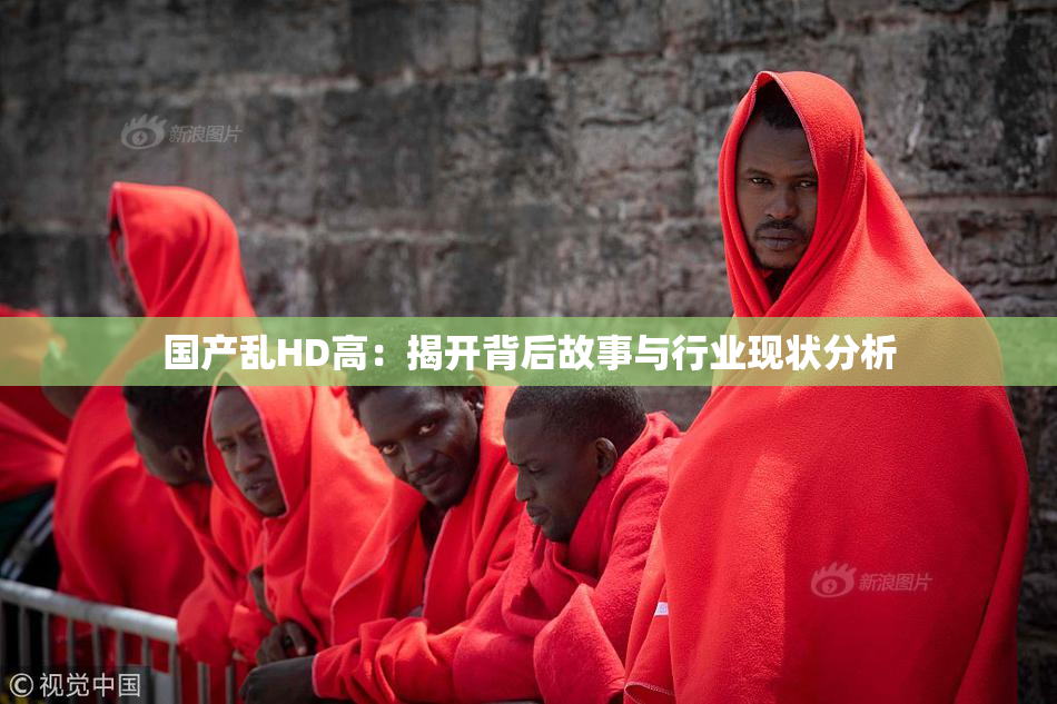 国产乱HD高：揭开背后故事与行业现状分析
