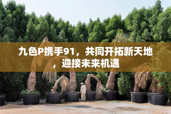 九色P携手91，共同开拓新天地，迎接未来机遇