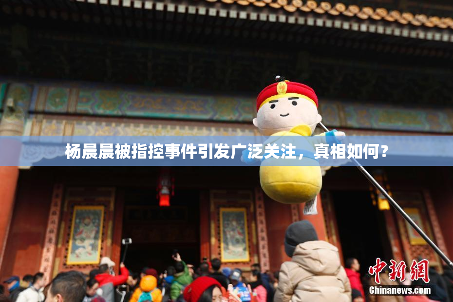杨晨晨被指控事件引发广泛关注，真相如何？