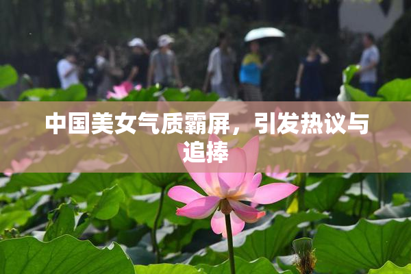 中国美女气质霸屏，引发热议与追捧