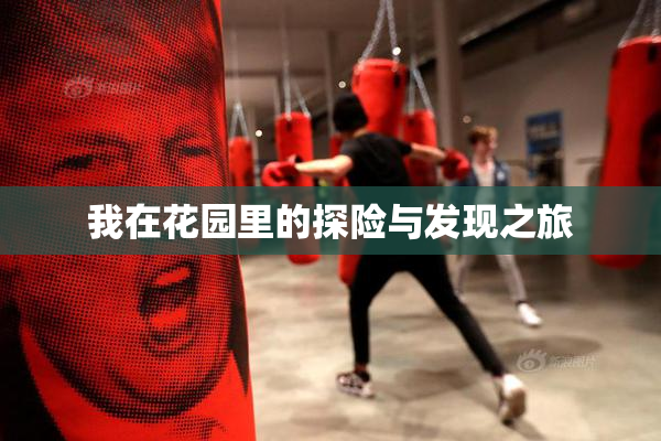 我在花园里的探险与发现之旅
