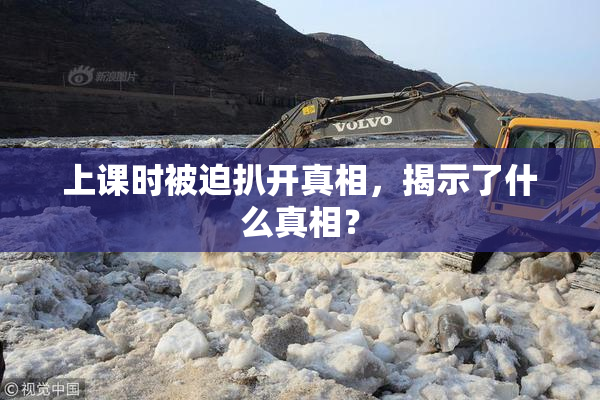上课时被迫扒开真相，揭示了什么真相？