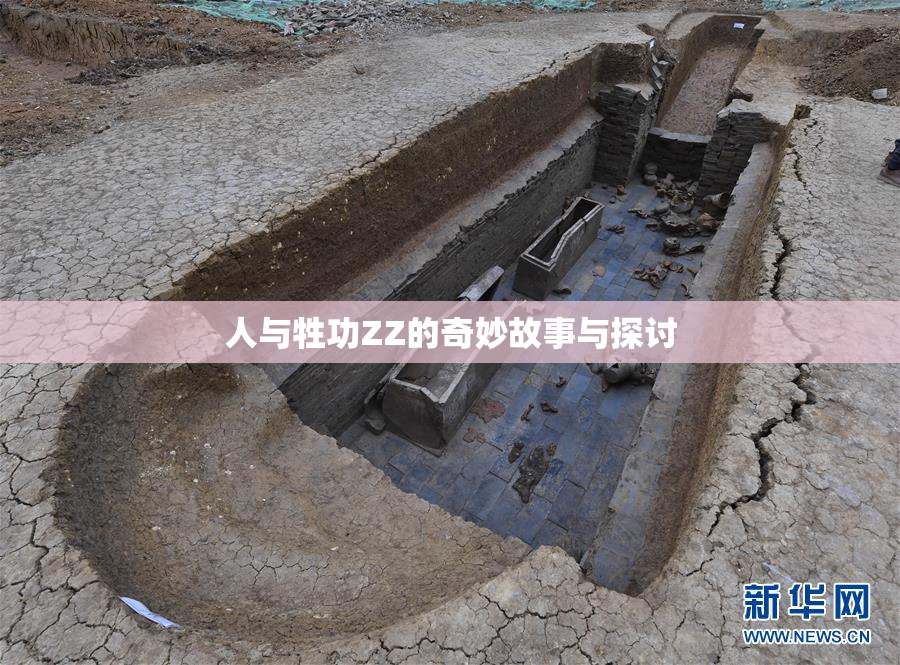 人与牲功ZZ的奇妙故事与探讨