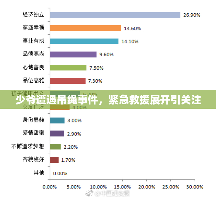 少爷遭遇吊绳事件，紧急救援展开引关注