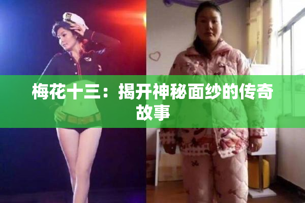 梅花十三：揭开神秘面纱的传奇故事