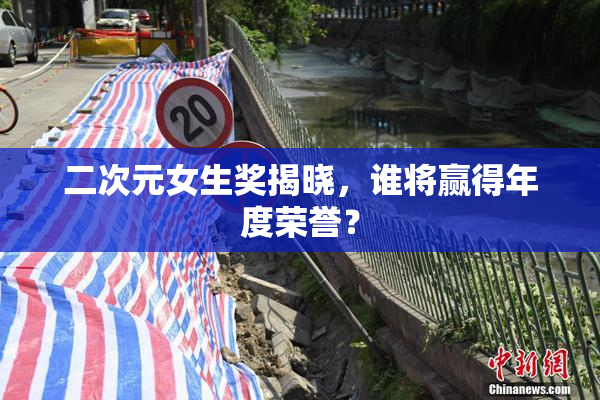 二次元女生奖揭晓，谁将赢得年度荣誉？