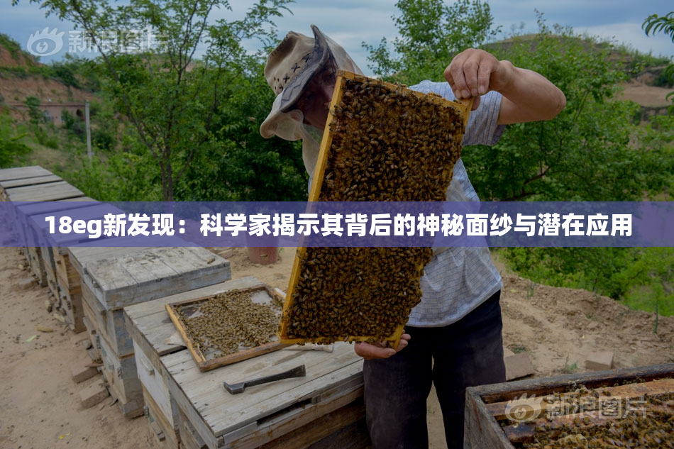 18eg新发现：科学家揭示其背后的神秘面纱与潜在应用