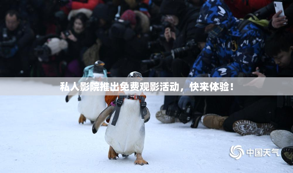 私人影院推出免费观影活动，快来体验！