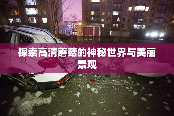 探索高清蘑菇的神秘世界与美丽景观